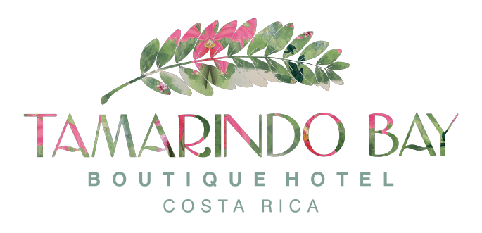 Tamarindo bay boutique hotel